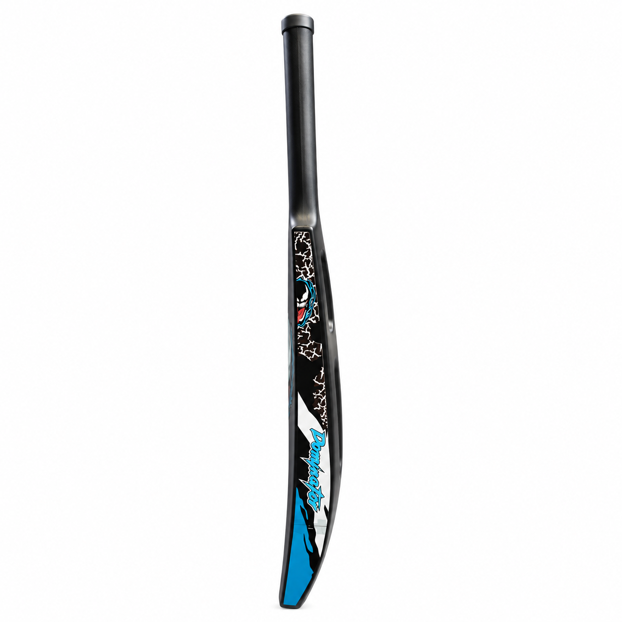 cricket bat side 2