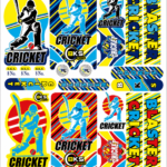 cricket bat stickers